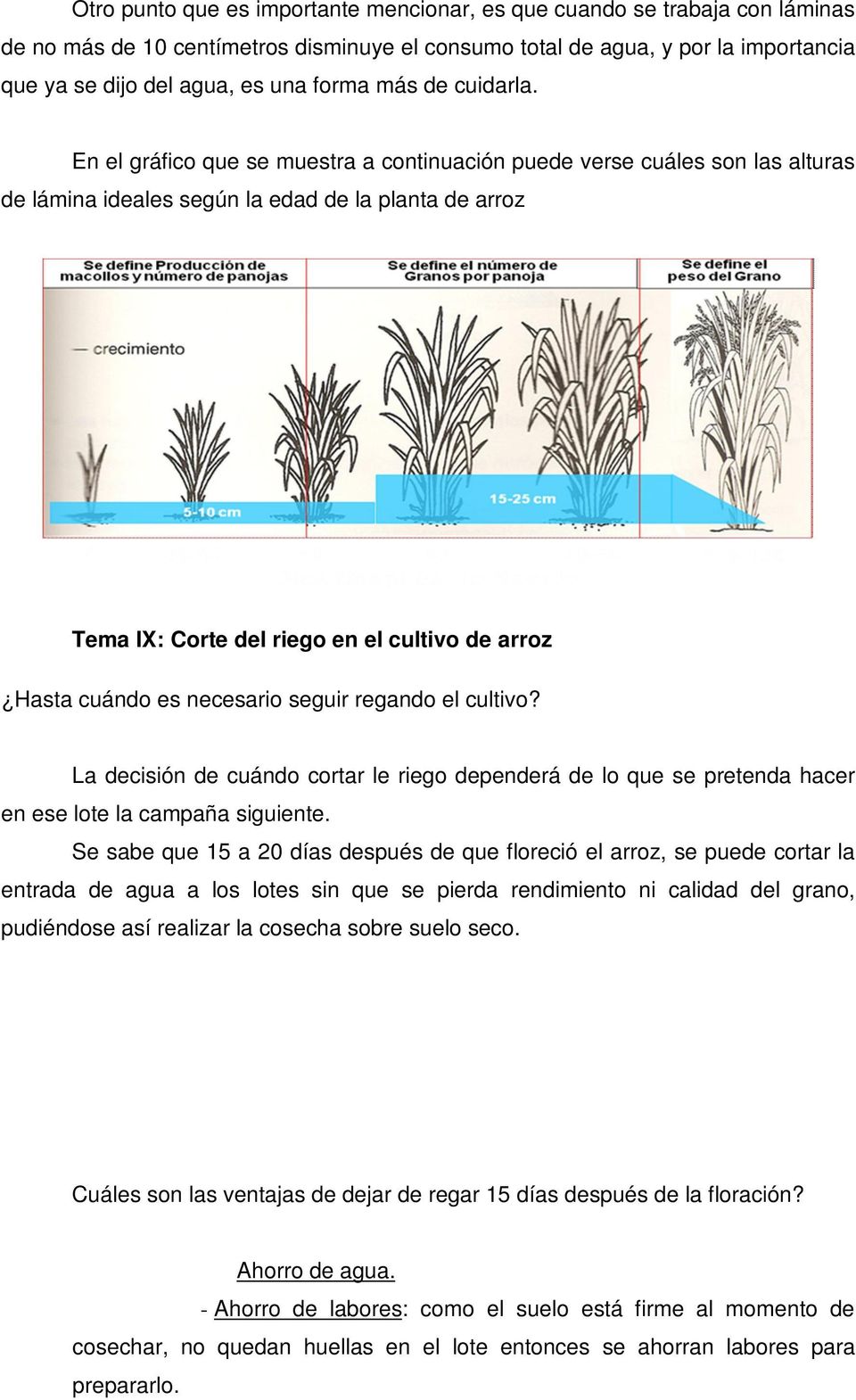 En el gráfico que se muestra a continuación puede verse cuáles son las alturas de lámina ideales según la edad de la planta de arroz Tema IX: Corte del riego en el cultivo de arroz Hasta cuándo es