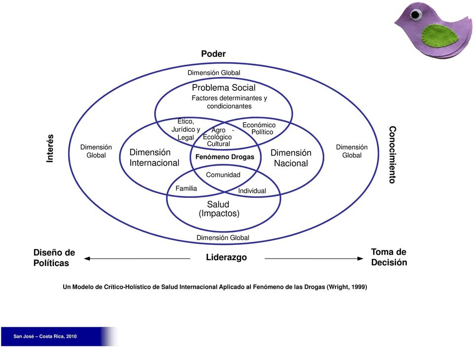 Individual Dimensión Nacional Dimensión Global Conocimiento Salud (Impactos) Diseño de Políticas Dimensión Global