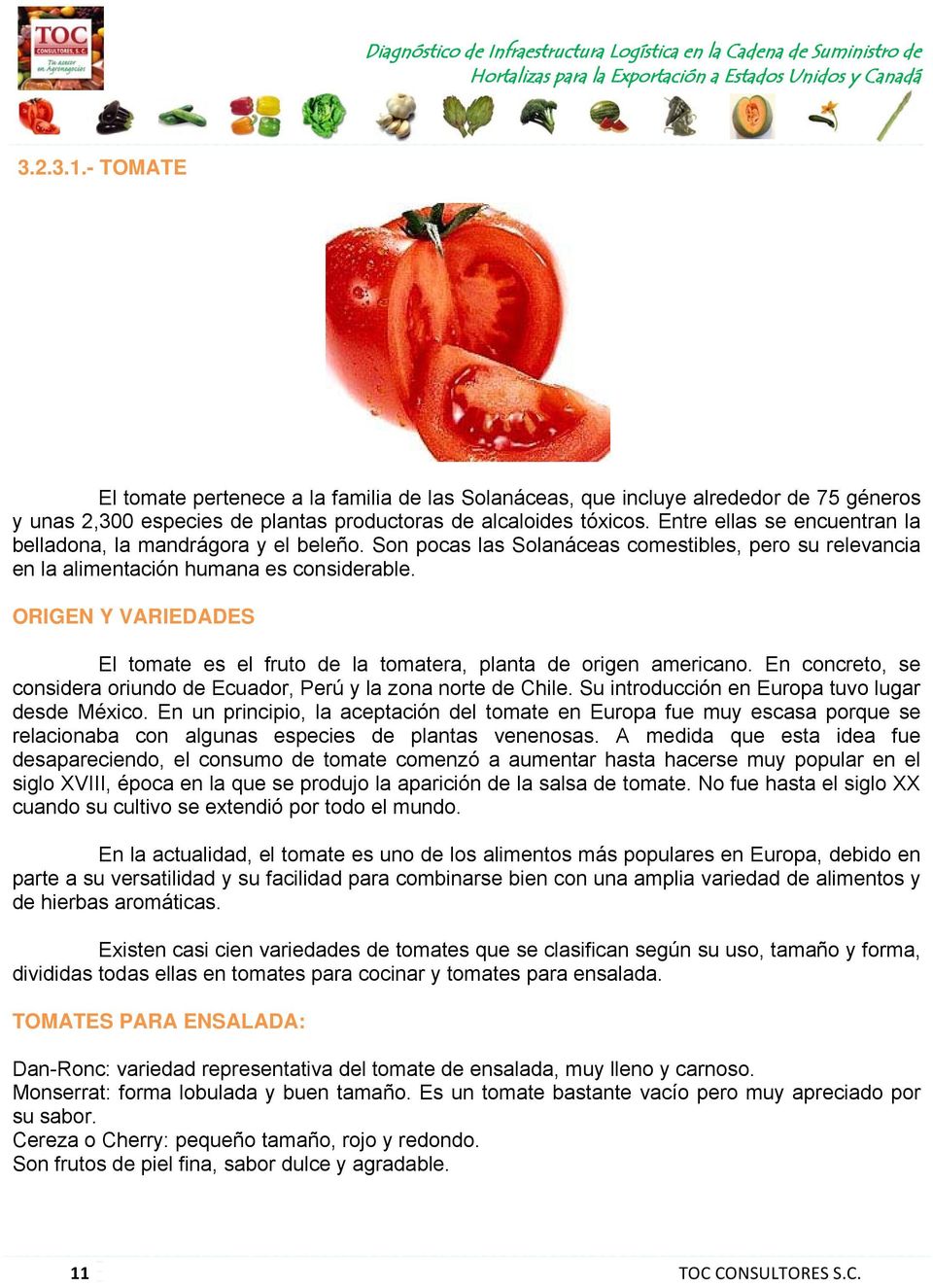 ORIGEN Y VARIEDADES El tomate es el fruto de la tomatera, planta de origen americano. En concreto, se considera oriundo de Ecuador, Perú y la zona norte de Chile.