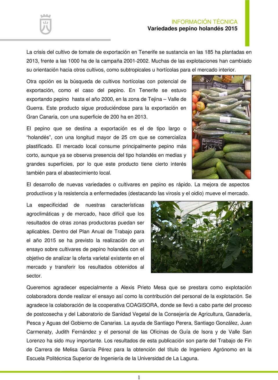 Otra opción es la búsqueda de cultivos hortícolas con potencial de exportación, como el caso del pepino.