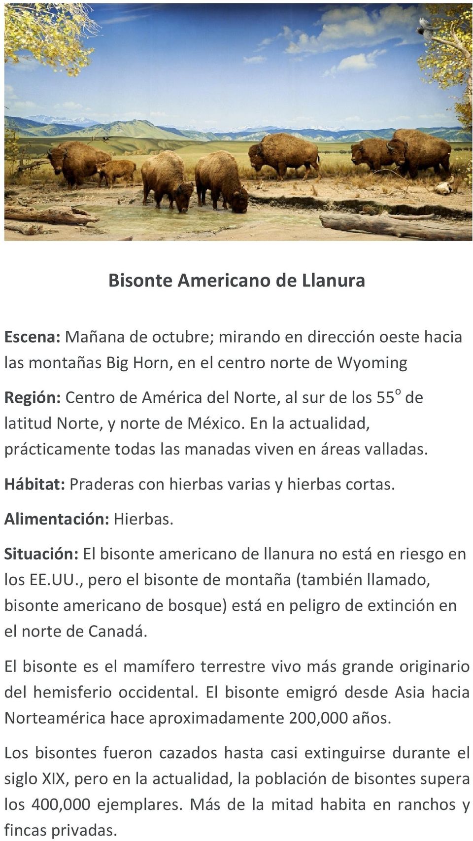 Situación: El bisonte americano de llanura no está en riesgo en los EE.UU.