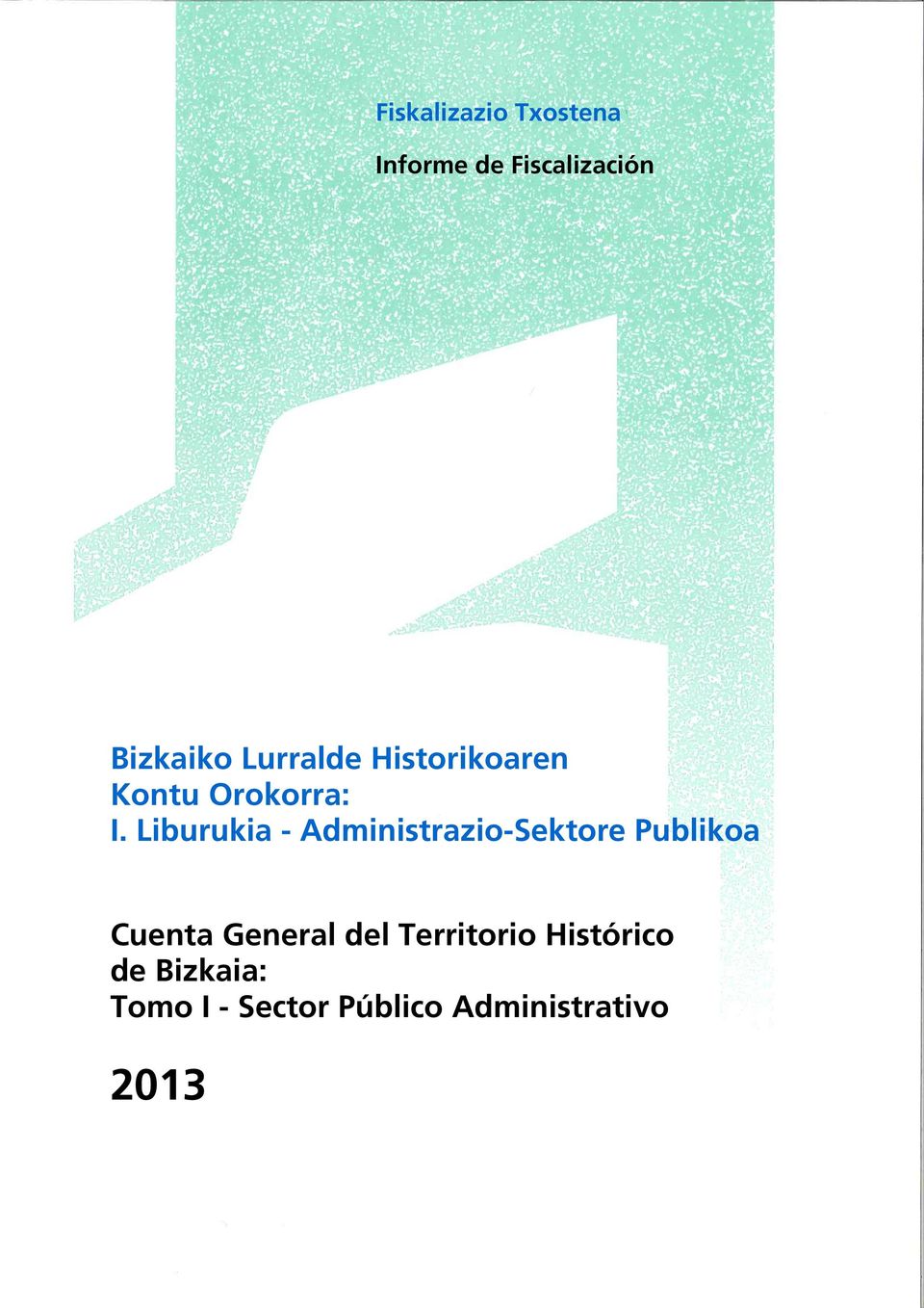 Liburukia - Administrazio-Sektore Publikoa Cuenta General