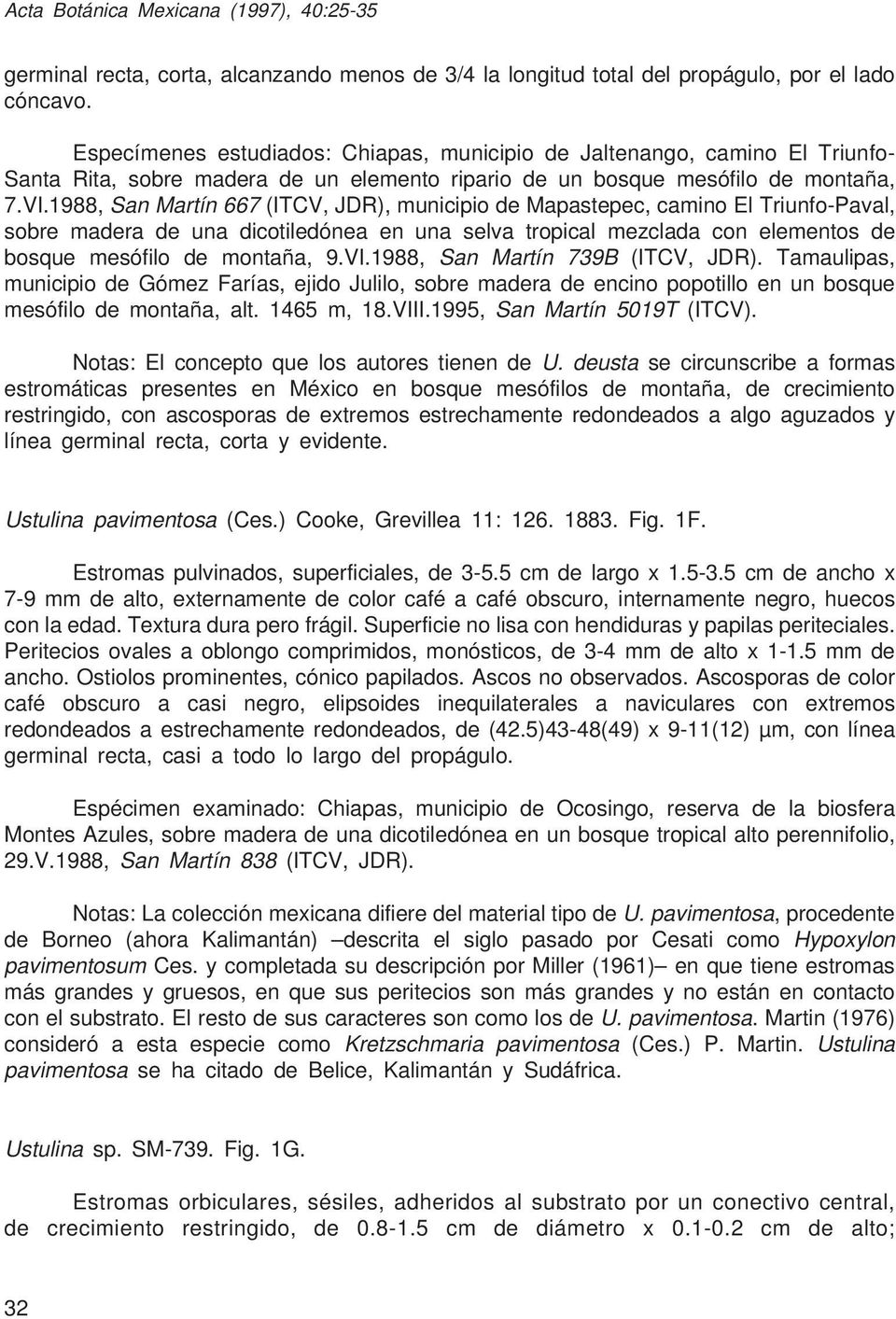1988, San Martín 667 (ITCV, JDR), municipio de Mapastepec, camino El Triunfo-Paval, sobre madera de una dicotiledónea en una selva tropical mezclada con elementos de bosque mesófilo de montaña, 9.VI.