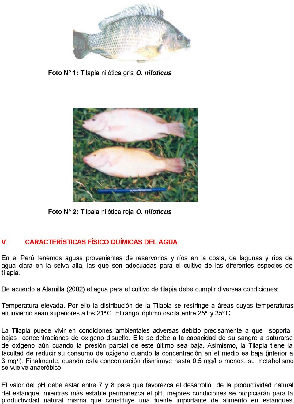 para el cultivo de las diferentes especies de tilapia. De acuerdo a Alamilla (2002) el agua para el cultivo de tilapia debe cumplir diversas condiciones: Temperatura elevada.