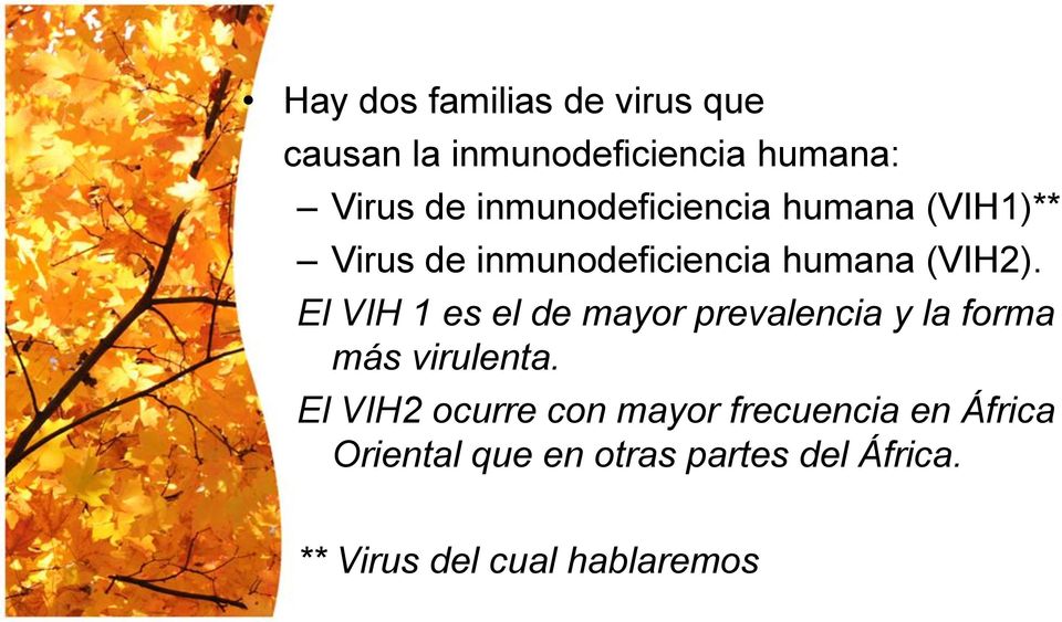 El VIH 1 es el de mayor prevalencia y la forma más virulenta.