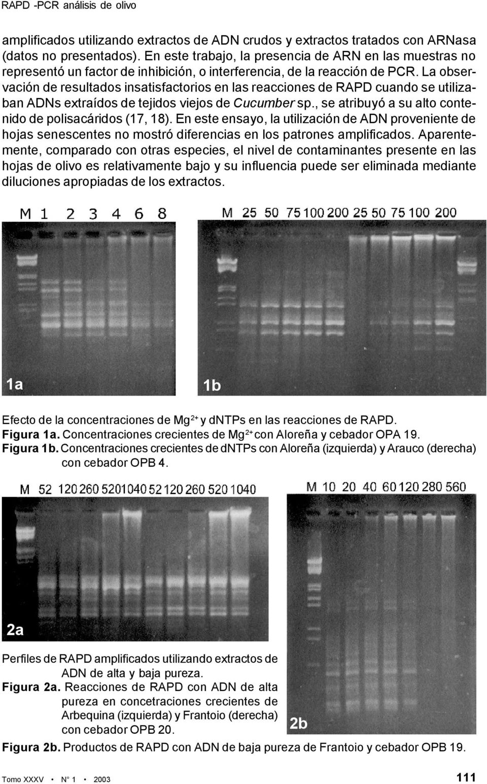 La observación de resultados insatisfactorios en las reacciones de RAPD cuando se utilizaban ADNs extraídos de tejidos viejos de Cucumber sp.