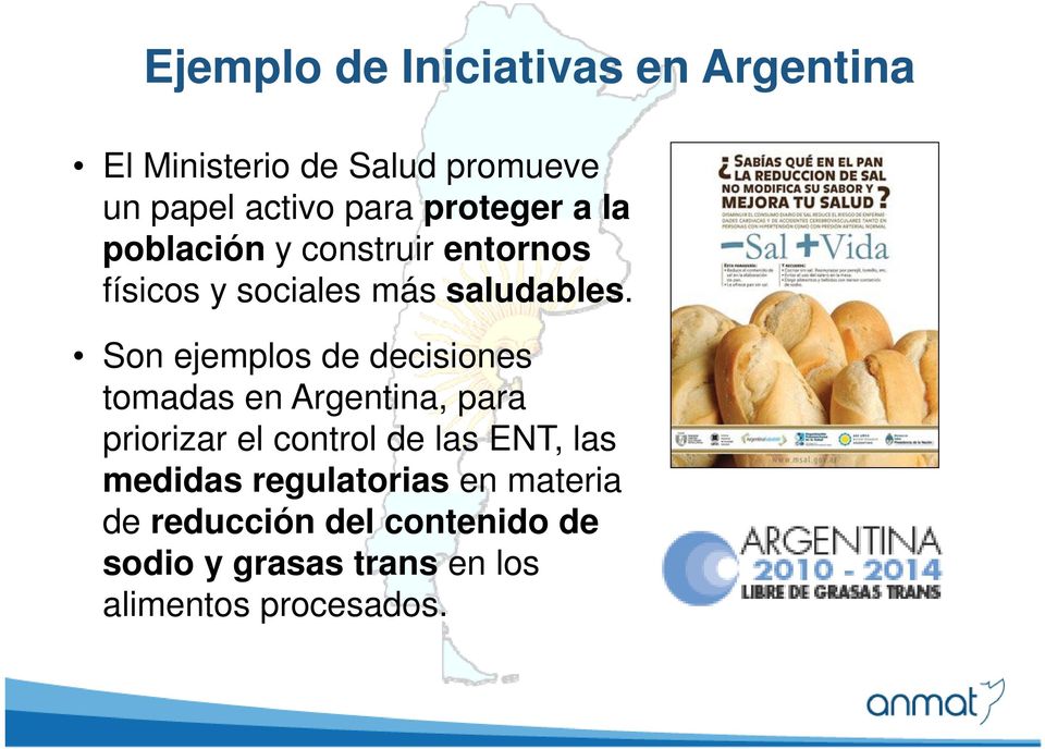 Son ejemplos de decisiones tomadas en Argentina, para priorizar el control de las ENT, las