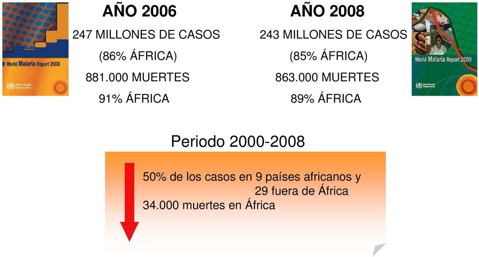 000 MUERTES 91% ÁFRICA 89% ÁFRICA Periodo 2000-2008 50% de