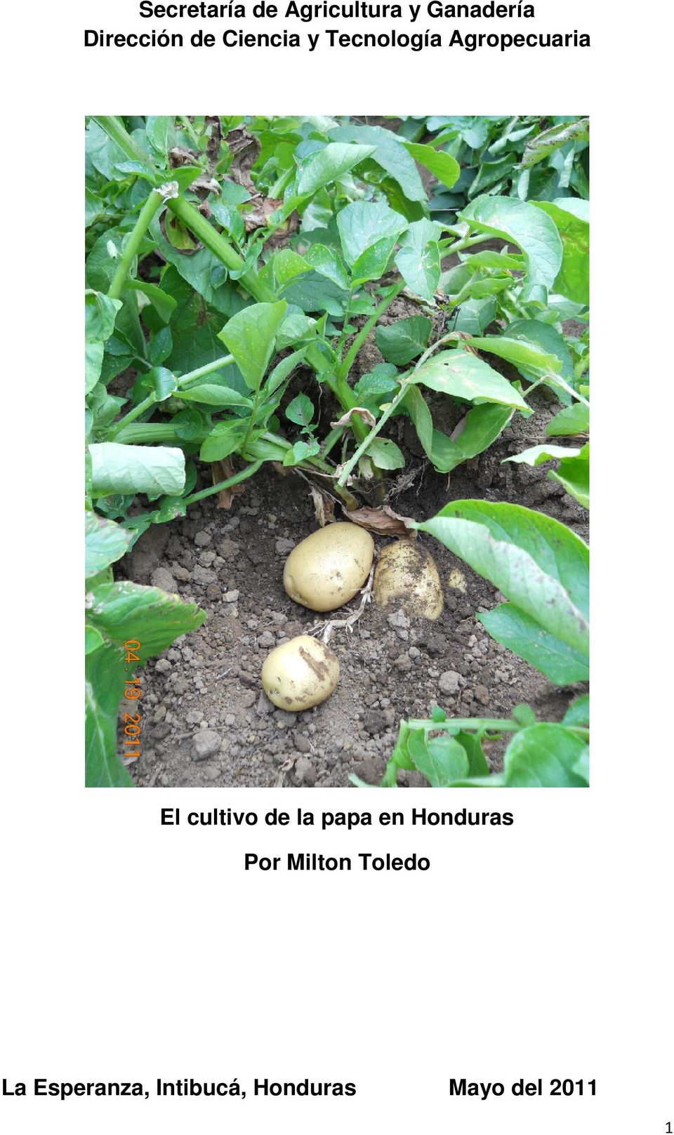 El cultivo de la papa en Honduras Por Milton