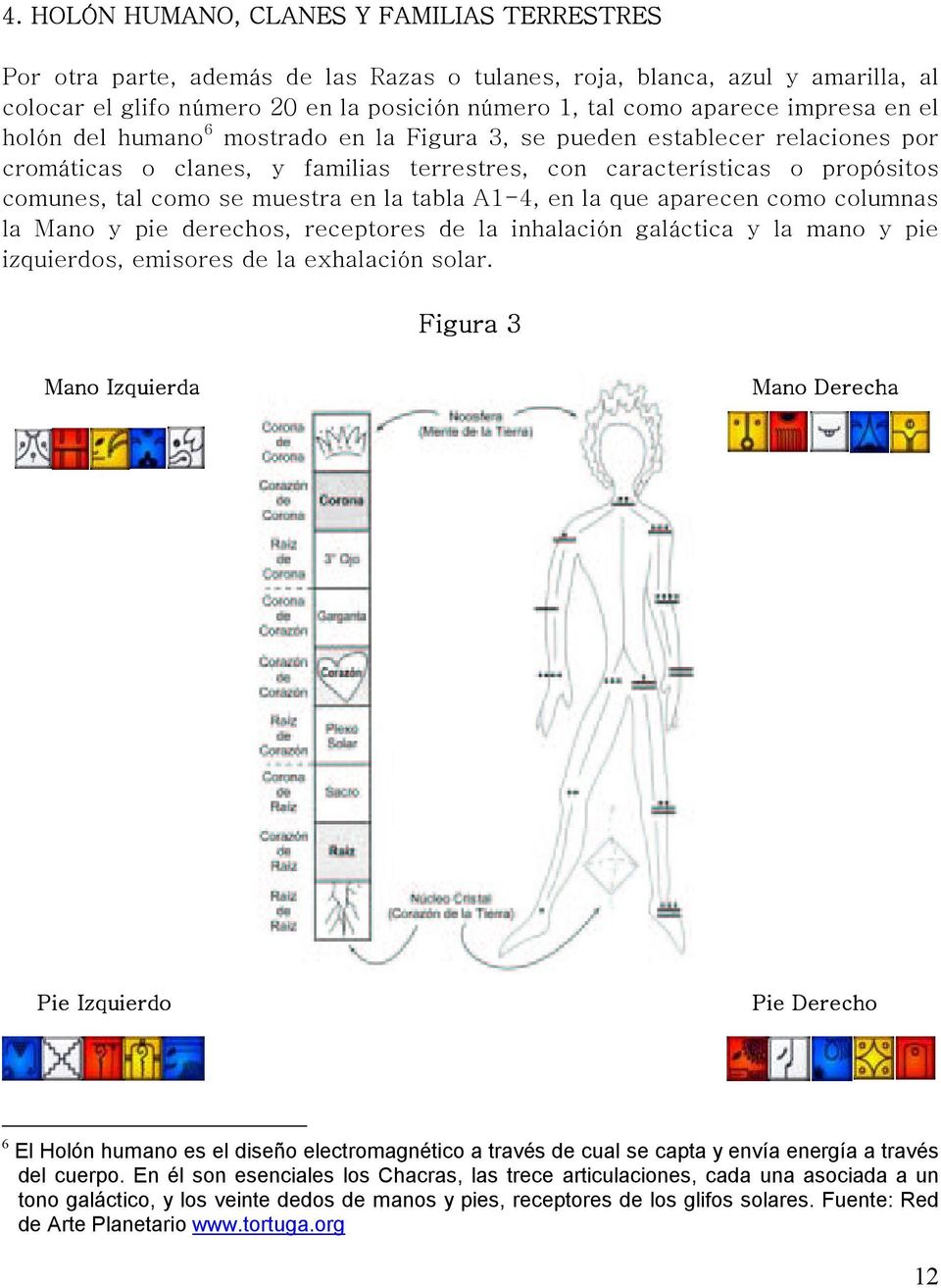 en la tabla A1-4, en la que aparecen como columnas la Mano y pie derechos, receptores de la inhalación galáctica y la mano y pie izquierdos, emisores de la exhalación solar.