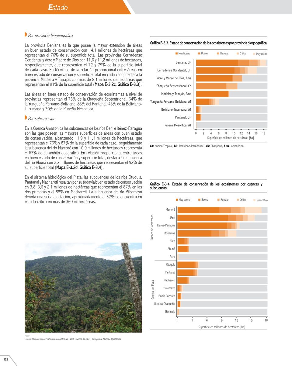 En términos de la relación proporcional entre áreas en buen estado de conservación y superficie total en cada caso, destaca la provincia Madeira y Tapajós con más de 8,1 millones de hectáreas que