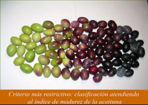 Atributos Positivos Frutado de Aceituna (verde o maduro) Defectos Atrojado