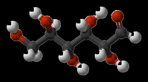 Contienen átomos de C, H, O y excepcionalmente N, S o P. Monosacáridos o polímeros de monosacáridos. F. Estructural.