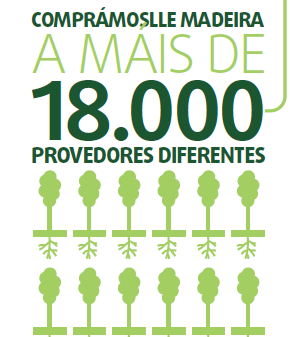 Desarrollo rural Empleo en Pontevedra y Galicia Empleo forestal 800 empleos en la comarca de Pontevedra. 5.048 empleos en Galicia. Impacto en el sector forestal 2.975 2.