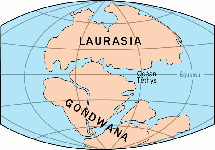 200 millones de años atrás Laurasia(norte) y Gondwana(sur) son dos continentes separas por