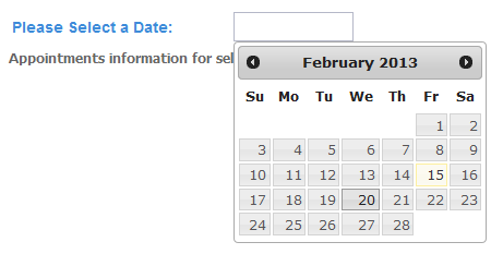 2. Dé un clic en el ícono de Search. 3. Para seleccionar la fecha de la cita que desea buscar, dé un clic en el cuadro al lado de Select a Date.