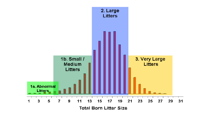 Número de lechones nacidos Razas hiper prolíficas Distribution of litter sizes from Danish data, and national litter