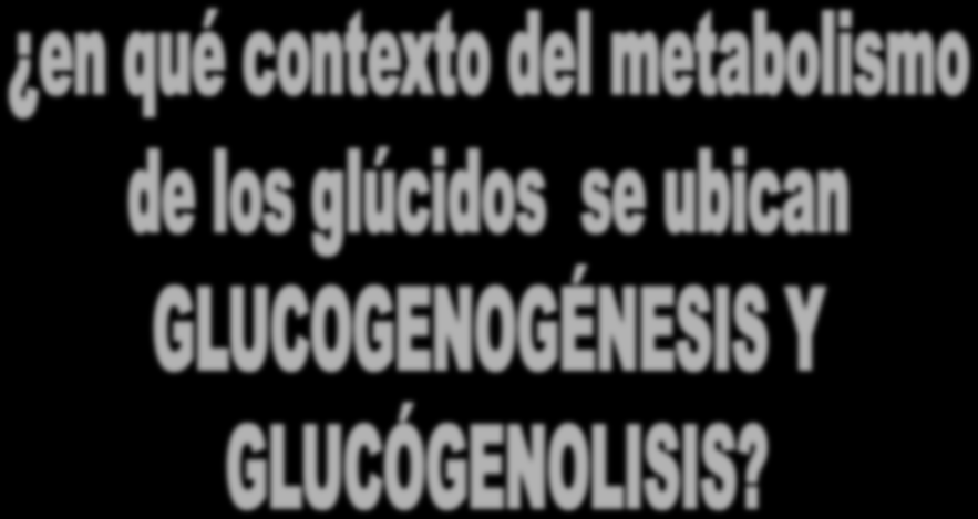 Repasando la estructura del glucógeno Extremos no reductores Puntos de ramificación: enlace