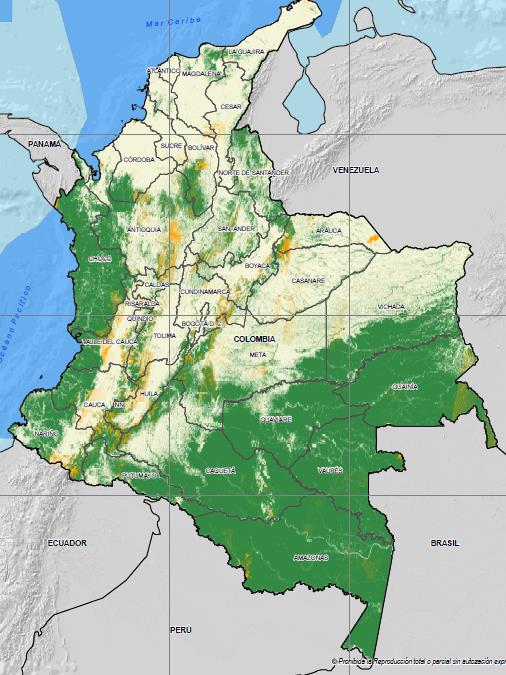 Mapa de Bosque No Bosque Área Total de Bosques en Colombia: 51% del Territorio Continental Fuente Rodríguez-Mahecha, J. V., F. Arjona-Hincapié, T. Muto, J. N. Urbina-Cardona, P. Bejarano-Mora, C.