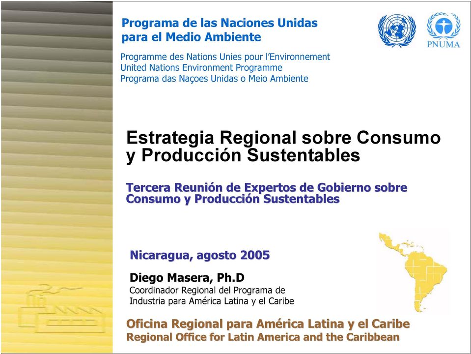 Expertos de Gobierno sobre Consumo y Producción n Sustentables Nicaragua, agosto 2005 Diego Masera, Ph.