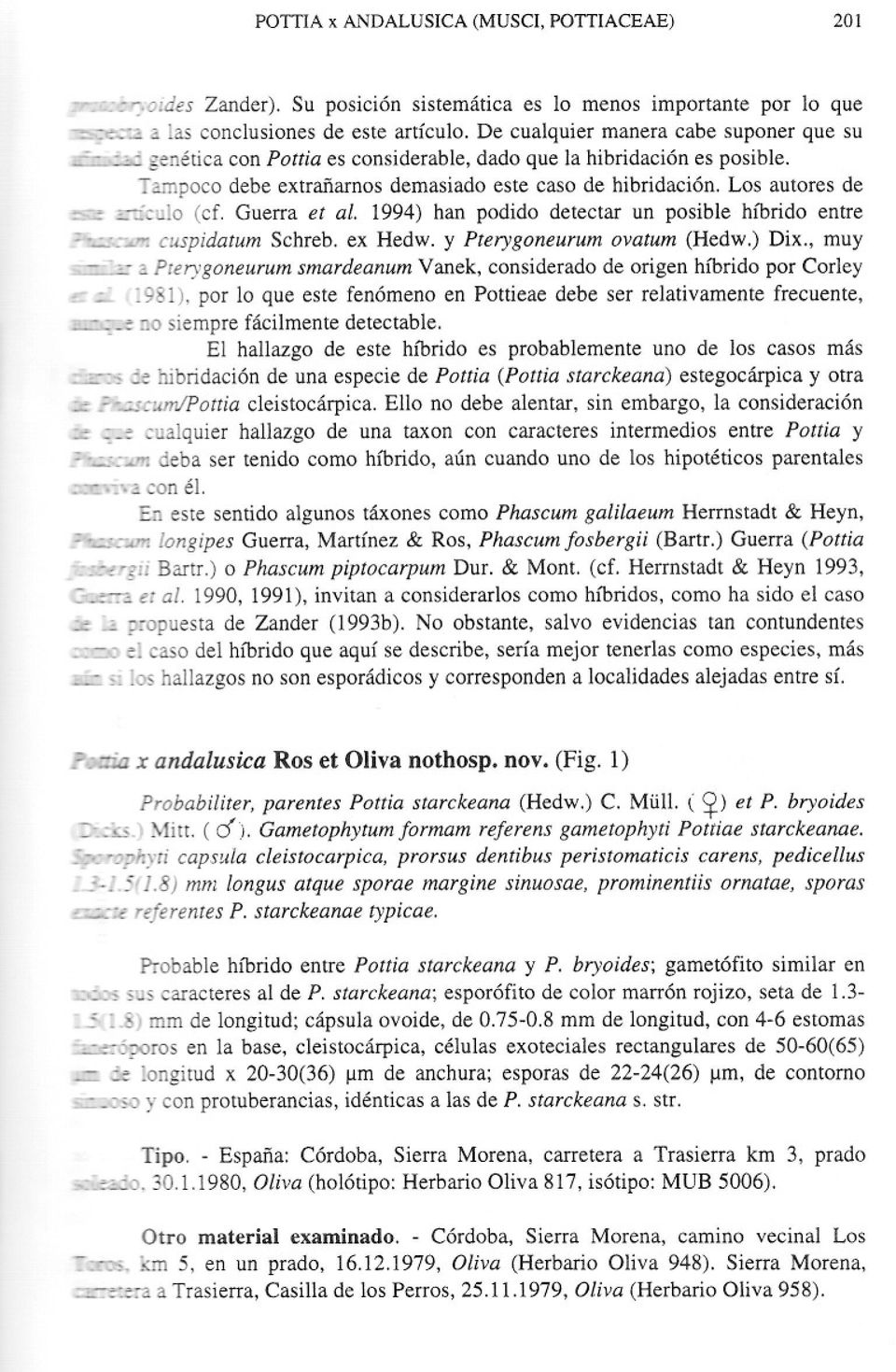 Los autores de -=-':culo (cf. Guerra et al. 1994) han podido detectar un posible híbrido entre C:C~-T~-:cr.cuspidatum Schreb. ex Hedw. y Pterygoneurum ovatum (Hedw.) Dix., muy ~::.