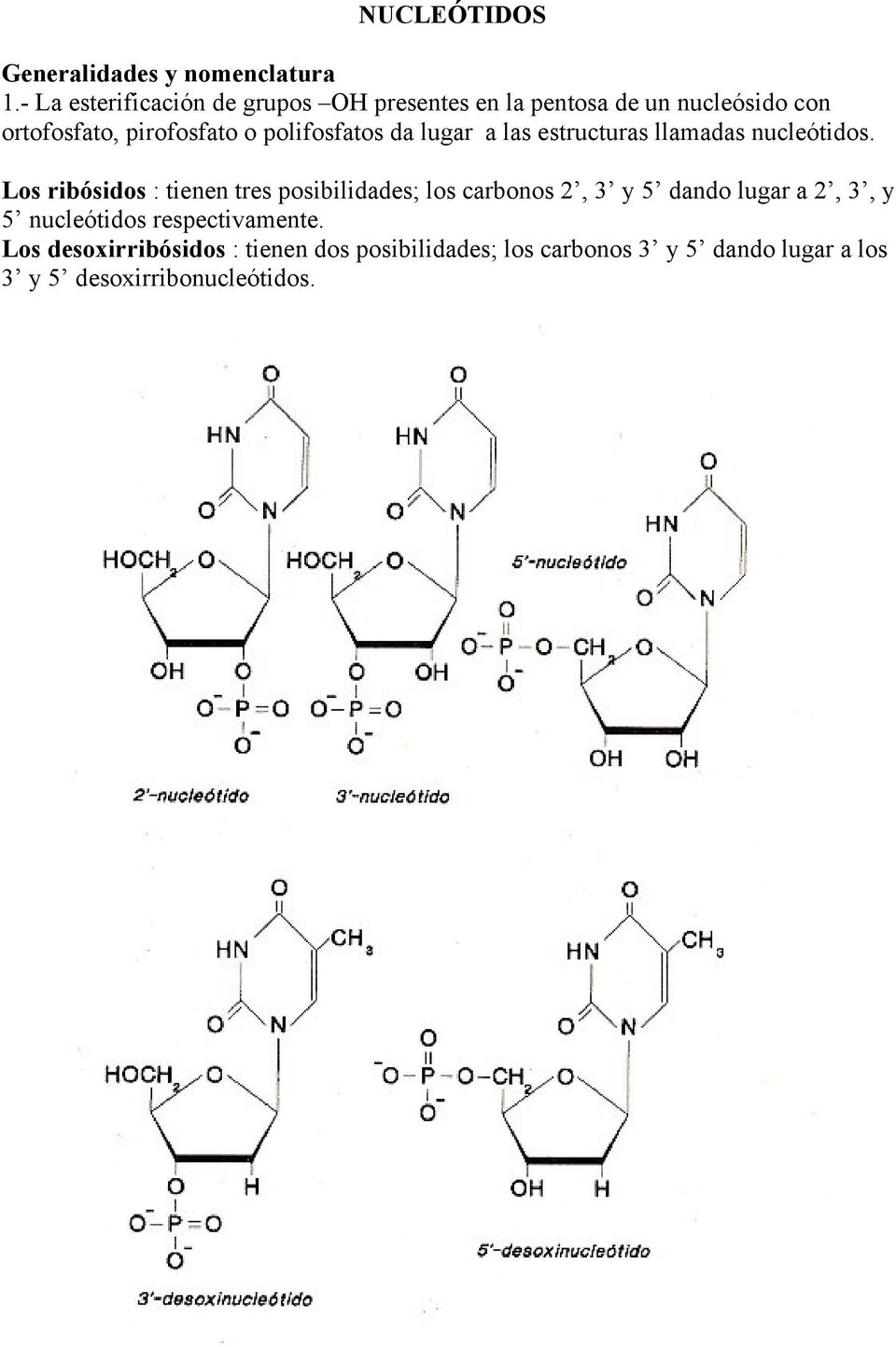 polifosfatos da lugar a las estructuras llamadas nucleótidos.