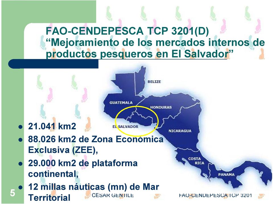 041 km2 88.026 km2 de Zona Económica Exclusiva (ZEE), 29.
