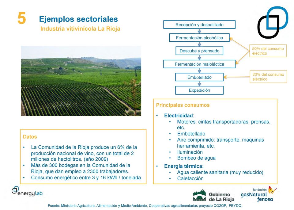(año 2009) Más de 300 bodegas en la Comunidad de la Rioja, que dan empleo a 2300 trabajadores. Consumo energético entre 3 y 16 kwh / tonelada.