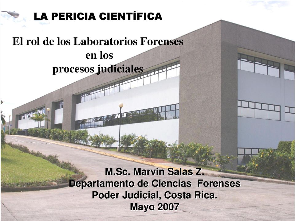 judiciales M.Sc. Marvin Salas Z.