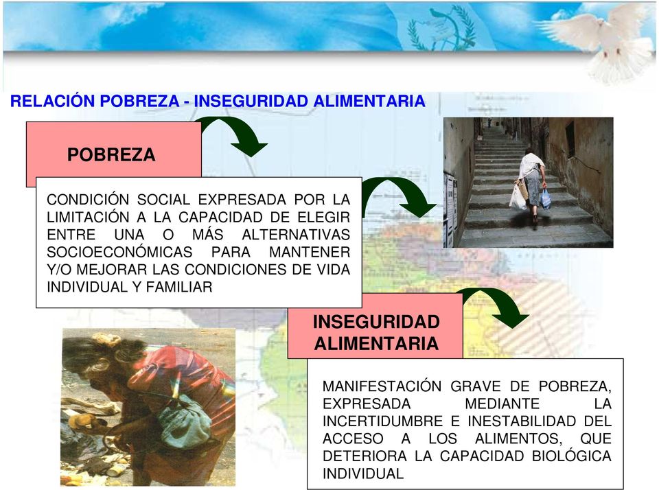 CONDICIONES DE VIDA INDIVIDUAL Y FAMILIAR INSEGURIDAD ALIMENTARIA MANIFESTACIÓN GRAVE DE POBREZA,