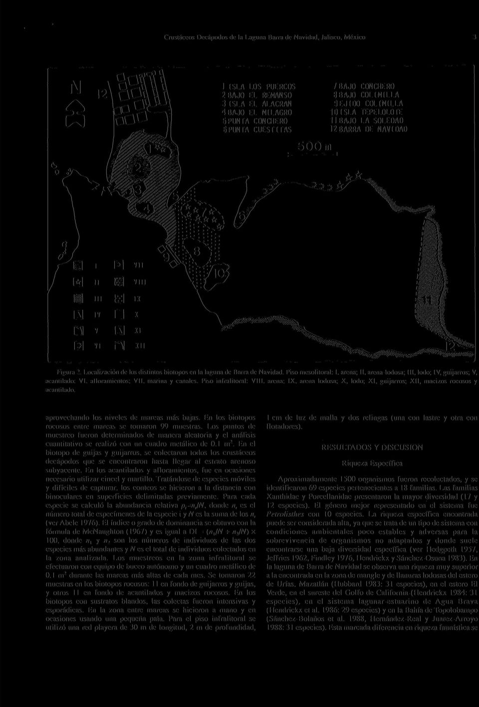 Localización de los distintos biotopos en la laguna de Barra de Navidad. Piso mesolitoral: 1, arena; II, arena-lodosa; III, lodo; IV, guijarros; V, acantilado: VI. afloramientos; VII.