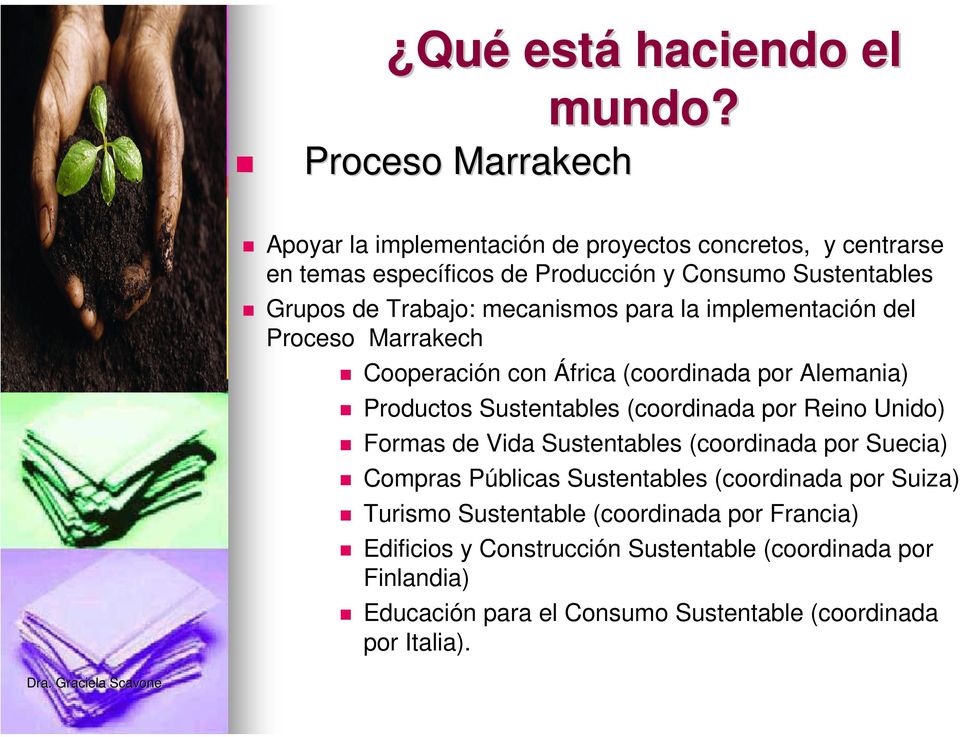 la implementación del Proceso Marrakech Cooperación con África (coordinada por Alemania) Productos Sustentables (coordinada por Reino Unido) Formas de