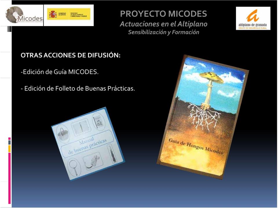 Edición de Guía MICODES.