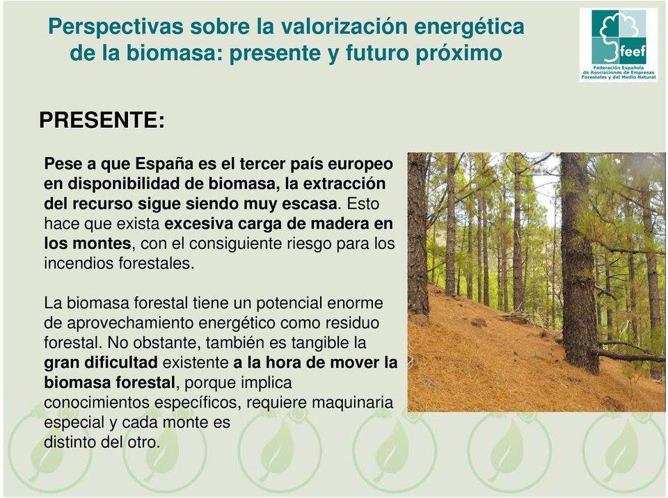 La biomasa forestal tiene un potencial enorme de aprovechamiento energético como residuo forestal.