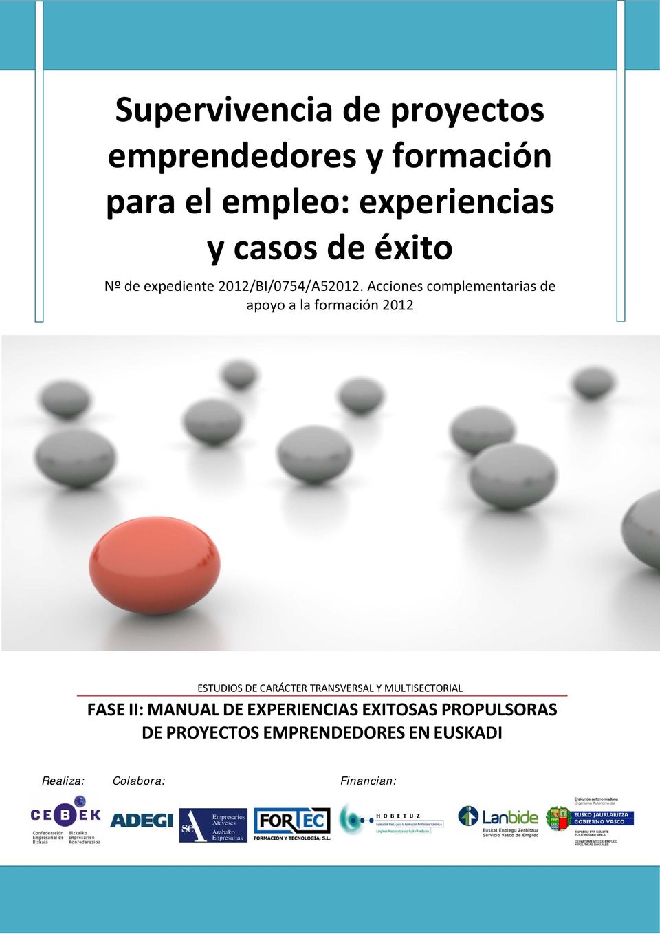 Acciones complementarias de apoyo a la formación 2012 ESTUDIOS DE CARÁCTER TRANSVERSAL Y