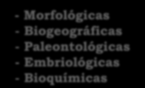 Biogeográficas -