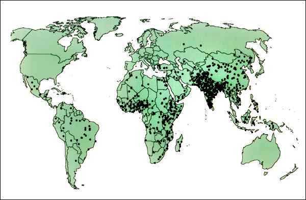 Muertes causadas por rotavirus en el mundo, en niños < 5 años 453.000 muertes/año o 1.