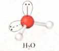Cada átomo de oxígeno tiene 6 electrones de valencia y el carbono tiene 4 electrones de valencia.