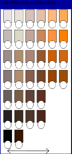 En la cual los colores se disponen en términos de tres variables conocidas; tono, valor y croma que se registran en ese orden.
