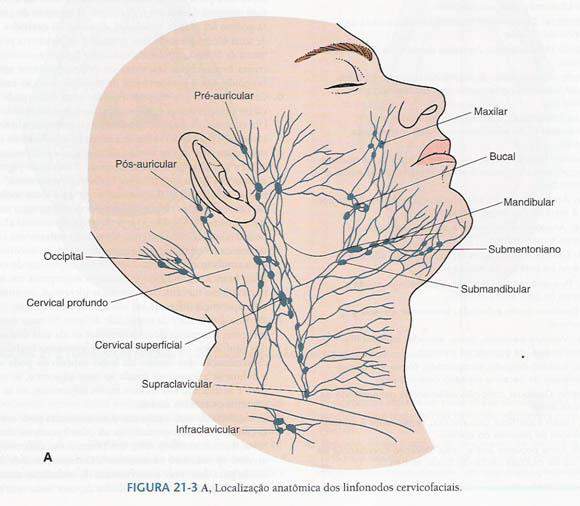 thyroid nodule, Surgery (Oxford), Volume 29,