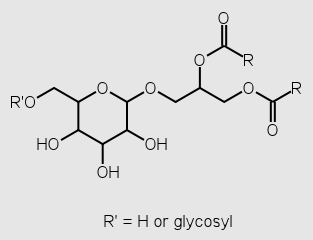 GLICOLÍPIDOS 1,2-di-O-acilgliceroles que se encuentran en la naturaleza se unen en el oxígeno de la posición 1 por