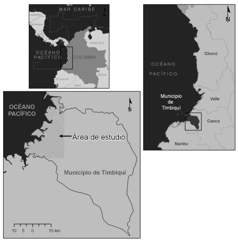 II. AREA DE ESTUDIO El municipio de Timbiquí se ubica en la costa del Pacífico colombiano (Figura II-1), la cual políticamente se divide en los departamentos de Chocó, Valle, Cauca y Nariño.