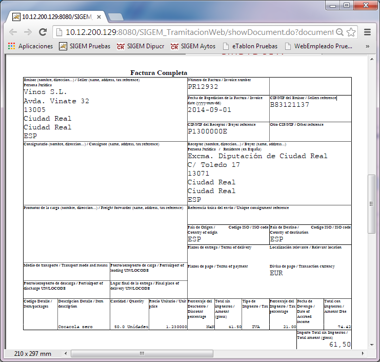 2. Visualización del documento de factura.