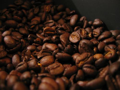 Secado: Introducción Una vez lavado el café debe