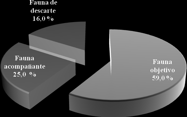 Figura 6. Composición porcentual de la captura, durante el período de pesca experimental en 2013.