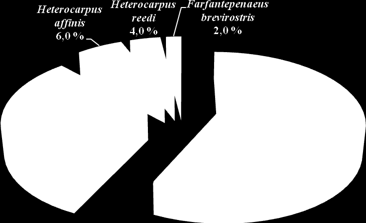 Figura 12. Composición porcentual de la captura en función de las especies objetivos correspondiente al período 2013. Figura 13.