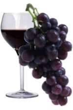 Taninos en vino Monastrell CS Syrah Taninos totales (mg/l) 470.61 a 685.80 b 786.03 c mdp 4.93 a 7.97 c 6.