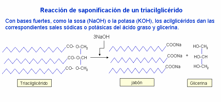 Las cadenas de los acidos grasos pueden ser iguales o diferentes, saturadas o insaturadas Propiedades de los acilglicéridos Son insolubles en agua. Son saponificables frente a bases.