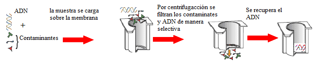 tanto el poder de filtración de éste dispositivo se mantiene teóricamente durante todo el proceso de filtrado, o disminuye ligeramente (Fernández, 2000). Figura 2.