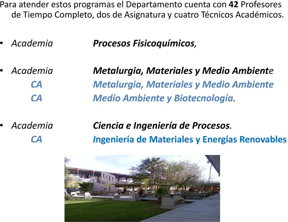 Academia Procesos Fisicoquímicos, Academia Metalurgia, Materiales y Medio Ambiente CA Metalurgia,